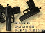 Quads p228 on ftps anims