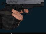Quad Reason P228 3 Skins