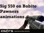 Sig 550 on Bobito Pawners animation