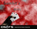 Gambits aces HE