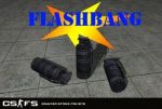 CTS 7290 Flashbang